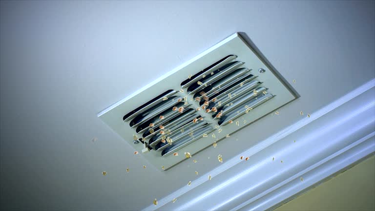 Best Affordable Duct Cleaning Services  in Rose Hill, NC