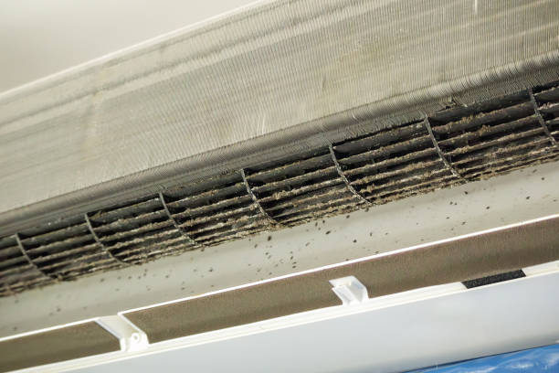 Best Home Air Vent Cleaning  in Rose Hill, NC